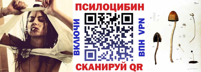 Галлюциногенные грибы GOLDEN TEACHER  Венёв 